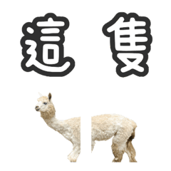 一輩子記得他