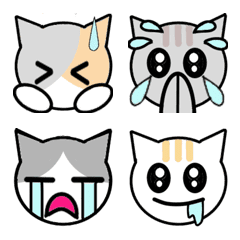 Várias expressões faciais de gatos