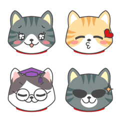 Cat Face Emoji Red Tabby Bicolor 4/4