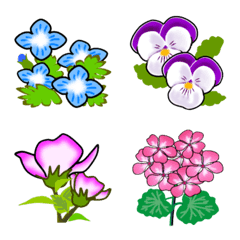 Floral  (summer, spring)