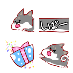 Shibashiba i-nu emoji kuro