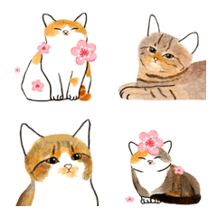 Lovely cats