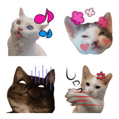 Pretty cats Emoji