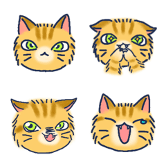 Fluffy red tabby cat emoji