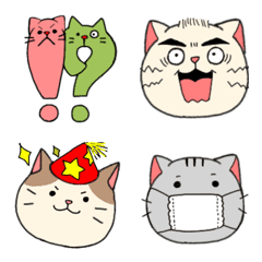 Various expressions of cats
