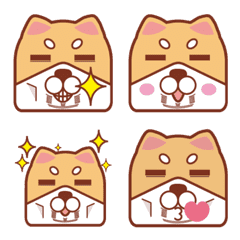 SINGEL Shiba Inu
