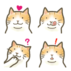 Festive emoji of plump cat
