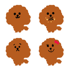 toy poodle (brown)