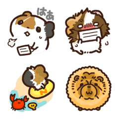 guineapigs summer Emoji