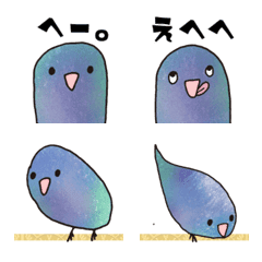 Southern Parrot with Japanese messege