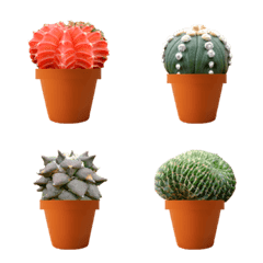 Super cute Cactus 2