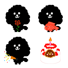 toy poodle (celebration)