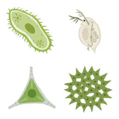 Life with plankton