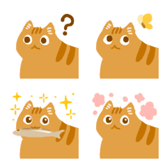 Lively marmalade cats