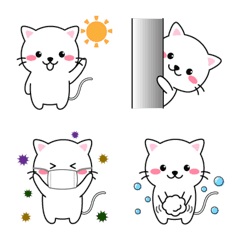 Cute Cat Minyan Emoji