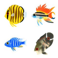 Cichlid aquarium fish
