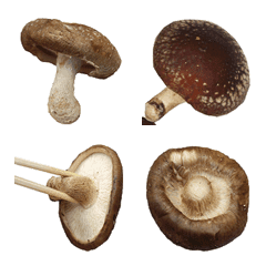 Shitake Mushroom emoji