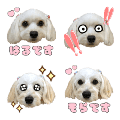 HaruSora Emoji
