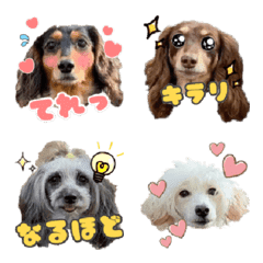 Ema & Ruri & Mau & Ribu Emoji