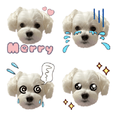 Merry Emoji