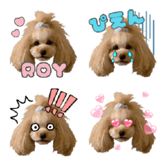 toy poodle ROY Emoji