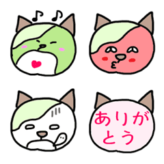 Lettuce cat,letako