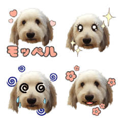 Moppel Emoji