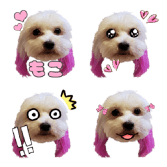 Dappu Moco Emoji