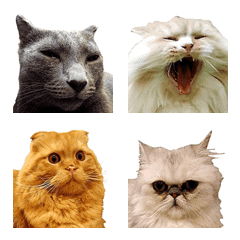 Cat emoji is great