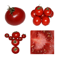 Tomato emoji!