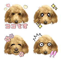 Dappu Coco Emoji