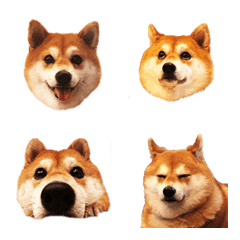 Shiba Inu Dog EMOJI