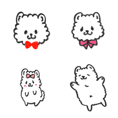 Pomeranian cococo