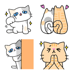 Cat Emoji Exotic Short Hair