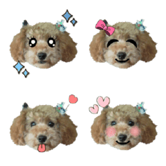 Choco Emoji