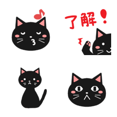 Round and cute black cat