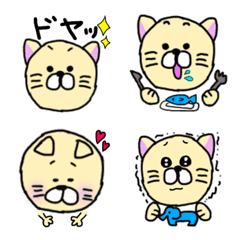 The daily life of Puru-chan, a kitten