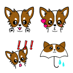 Chihuahua's  wonderful emoji