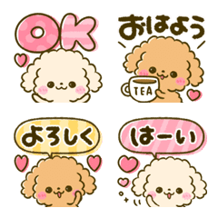 fuwamoco toy poodle 2