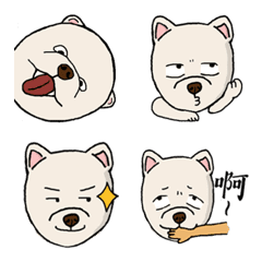 博美才才-天才的才