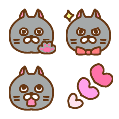Gray cat mood