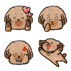 Sweet Toy poodle for Emoji