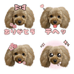 Poodle Cocoa Emoji