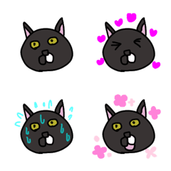 Black kitty "KOMACHI"