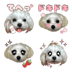 Miruku & Ichigo Emoji