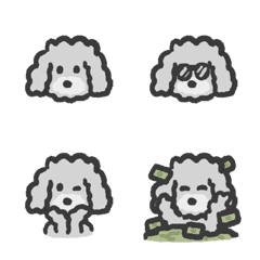 もこもこした子犬