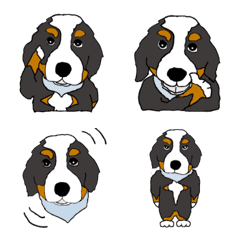Emoji of Bernese Mountain Dog Luana