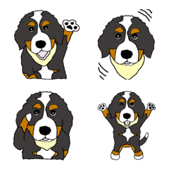 Emoji of Bernese Mountain Dog Aron