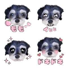 Maruchs Momo Emoji