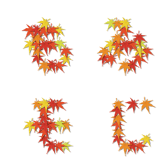 Autumn colors Japanese maple Emoji